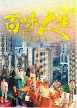 悬疑剧集雾港迷踪封面